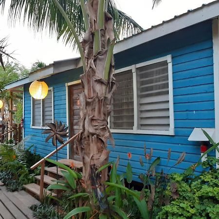 The Funky Dodo Backpackers Hostel 홉킨스 외부 사진