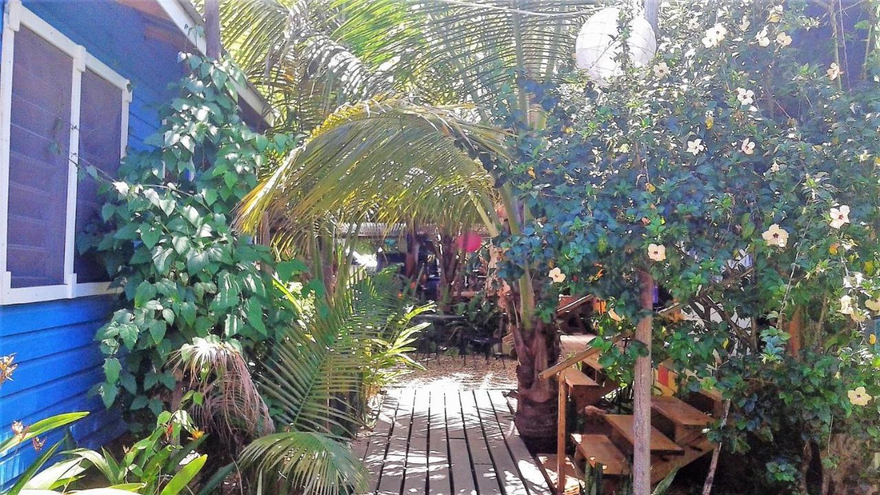 The Funky Dodo Backpackers Hostel 홉킨스 외부 사진