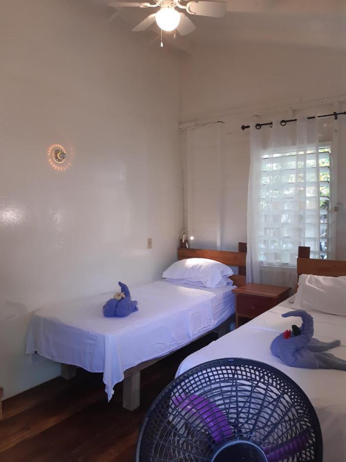 The Funky Dodo Backpackers Hostel 홉킨스 외부 사진