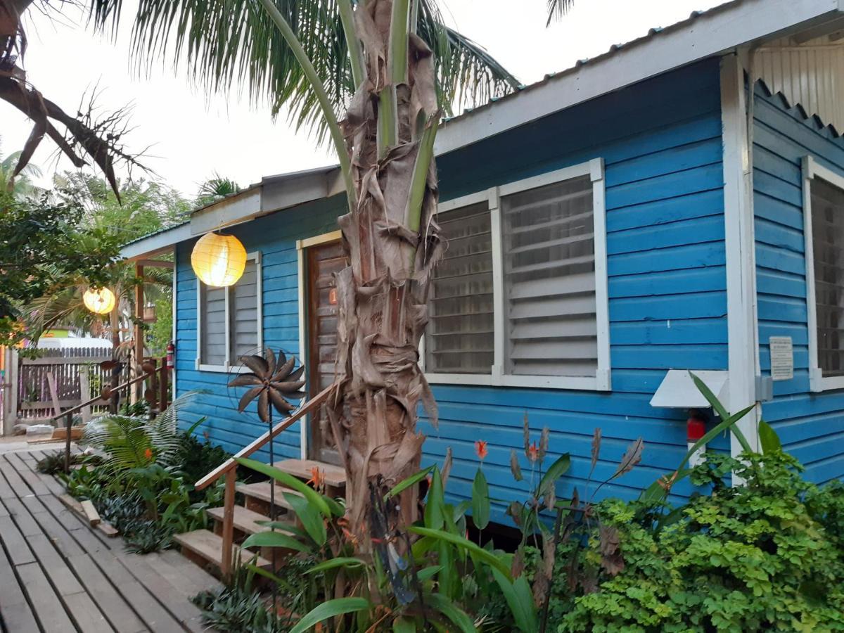 The Funky Dodo Backpackers Hostel 홉킨스 외부 사진
