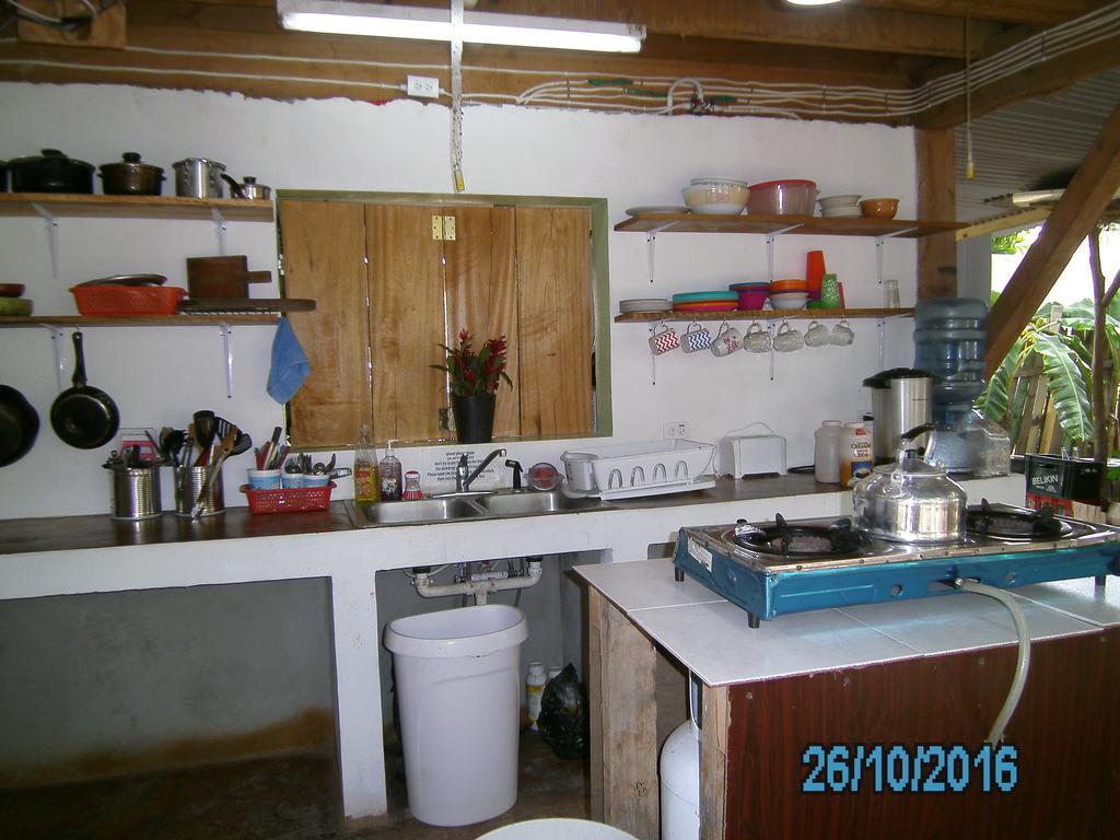 The Funky Dodo Backpackers Hostel 홉킨스 외부 사진