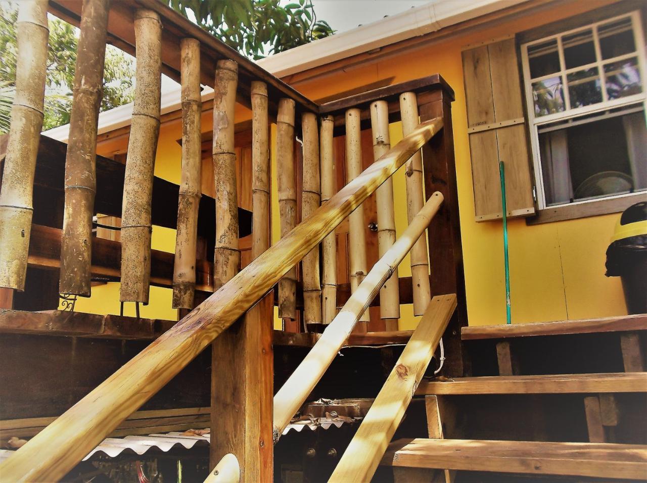 The Funky Dodo Backpackers Hostel 홉킨스 외부 사진
