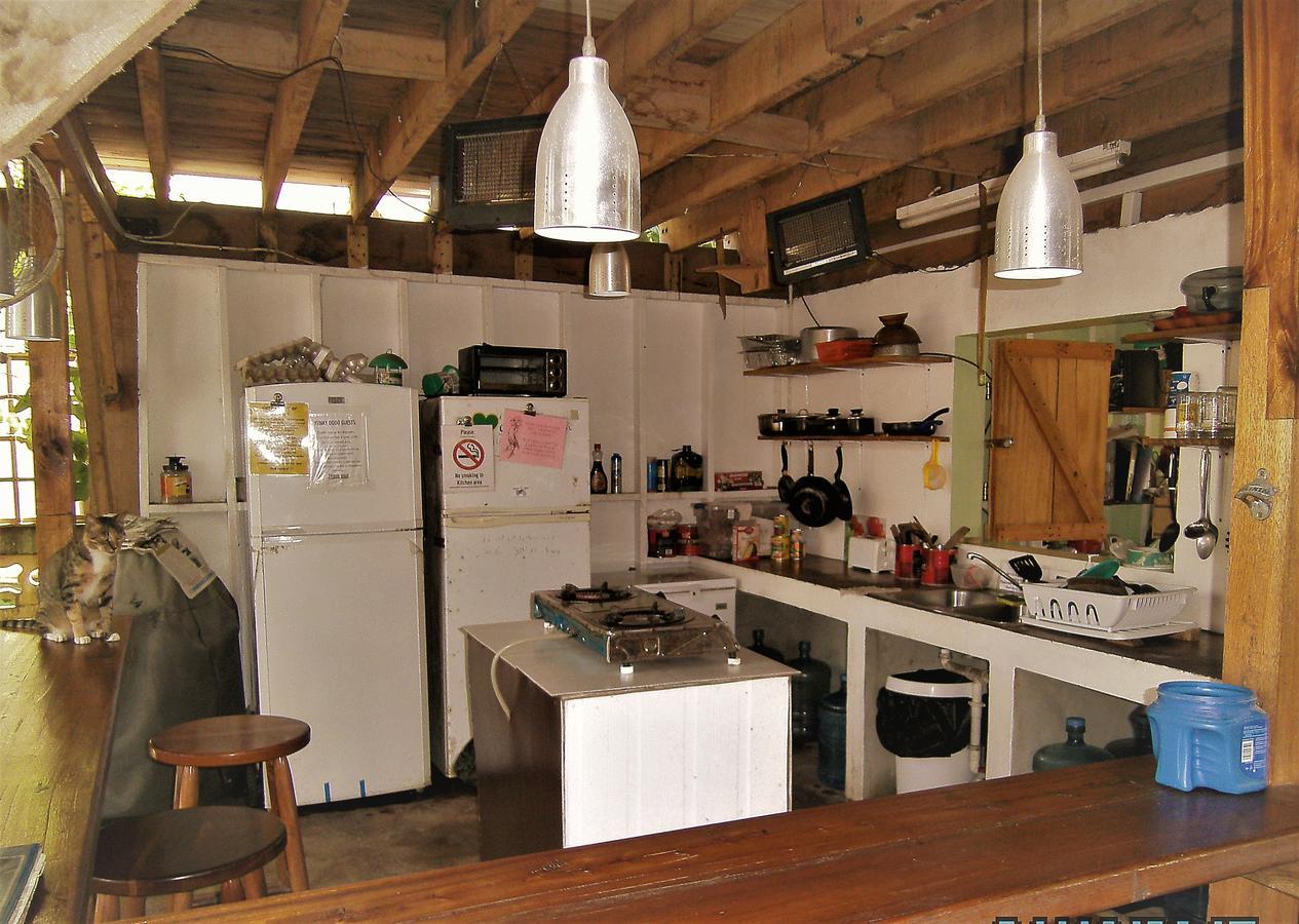 The Funky Dodo Backpackers Hostel 홉킨스 외부 사진