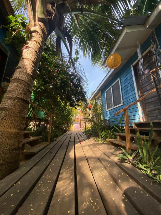 The Funky Dodo Backpackers Hostel 홉킨스 외부 사진