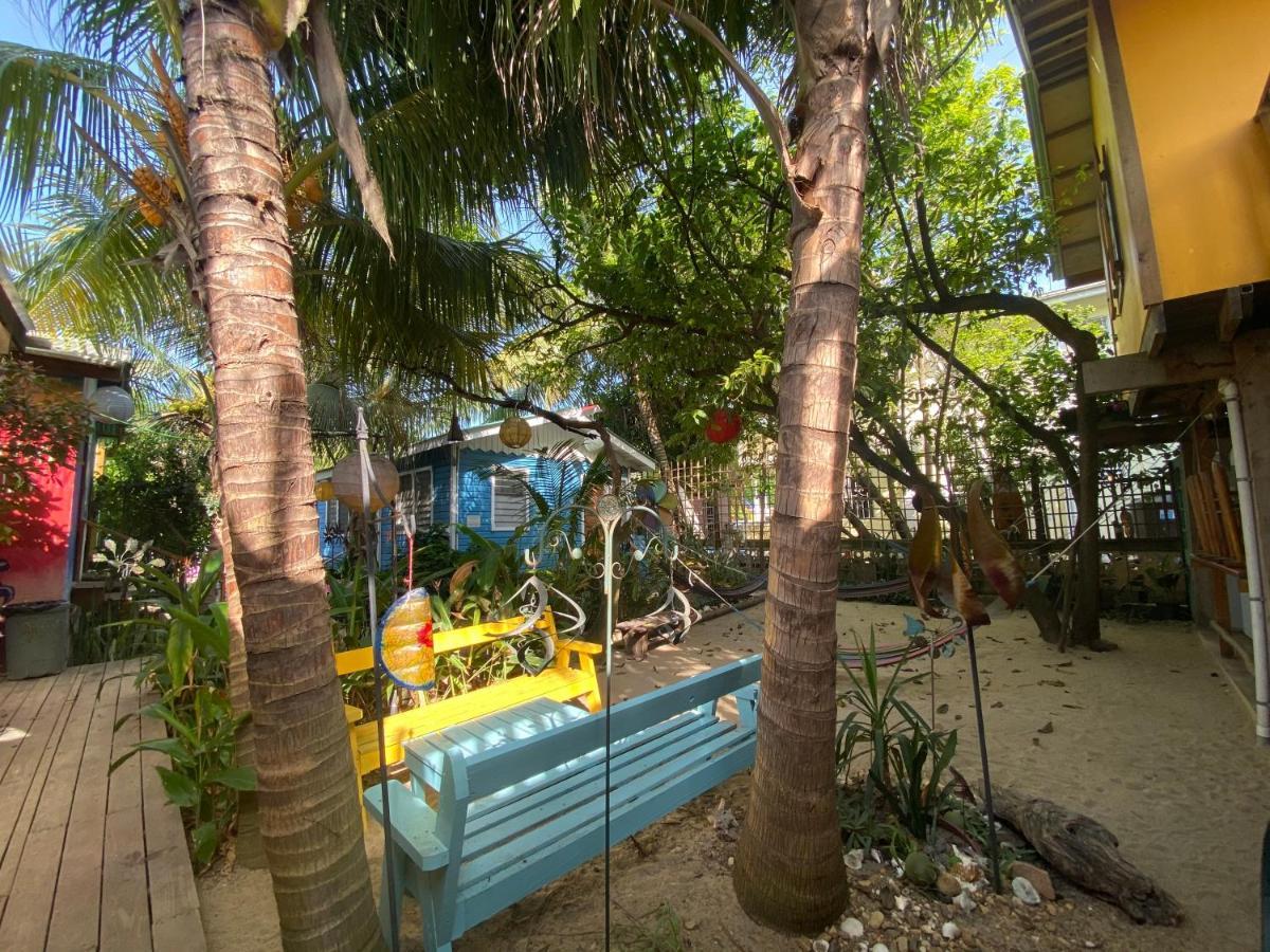 The Funky Dodo Backpackers Hostel 홉킨스 외부 사진