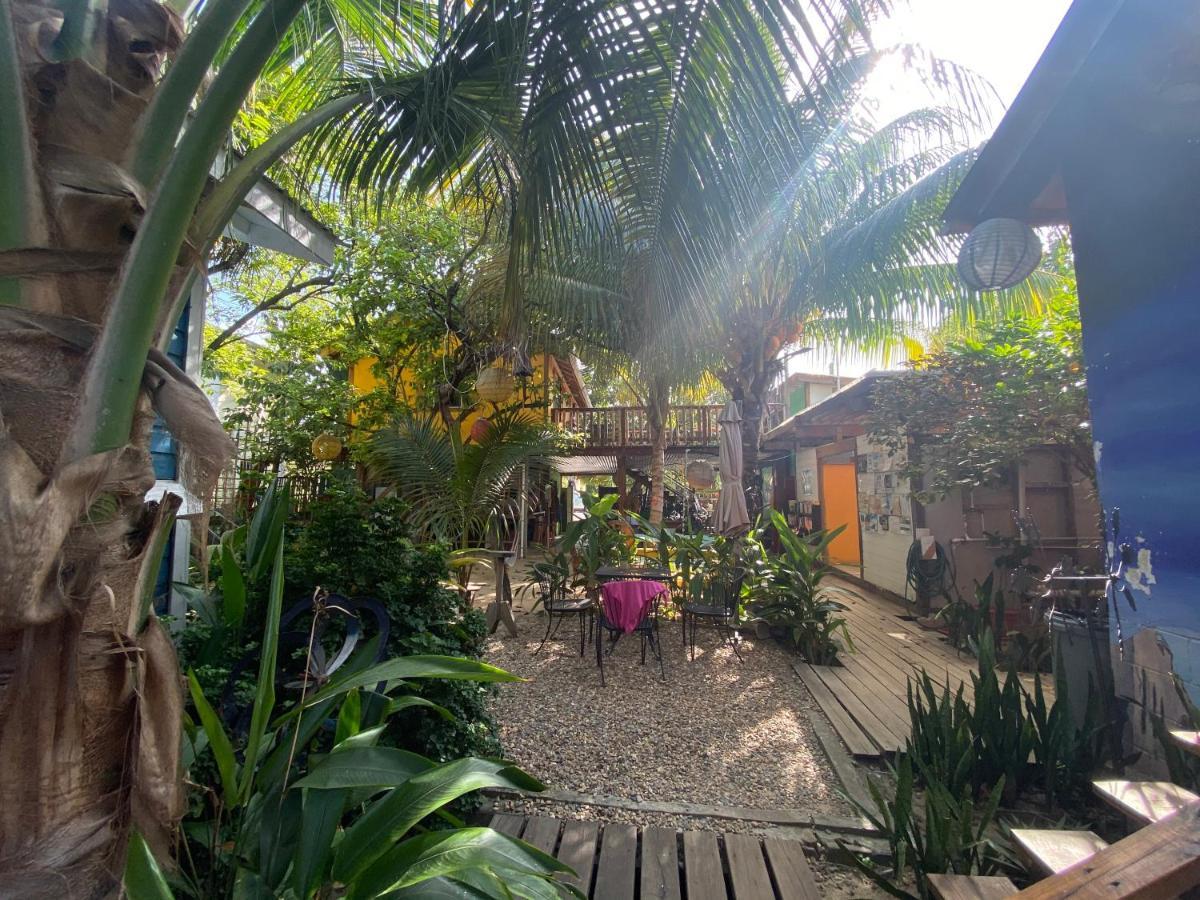 The Funky Dodo Backpackers Hostel 홉킨스 외부 사진