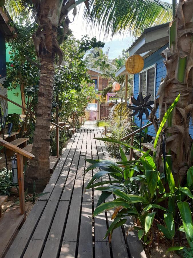 The Funky Dodo Backpackers Hostel 홉킨스 외부 사진
