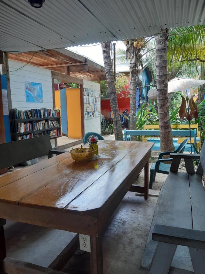 The Funky Dodo Backpackers Hostel 홉킨스 외부 사진
