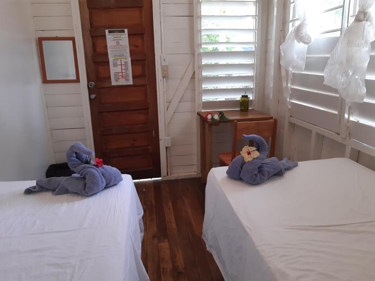 The Funky Dodo Backpackers Hostel 홉킨스 외부 사진