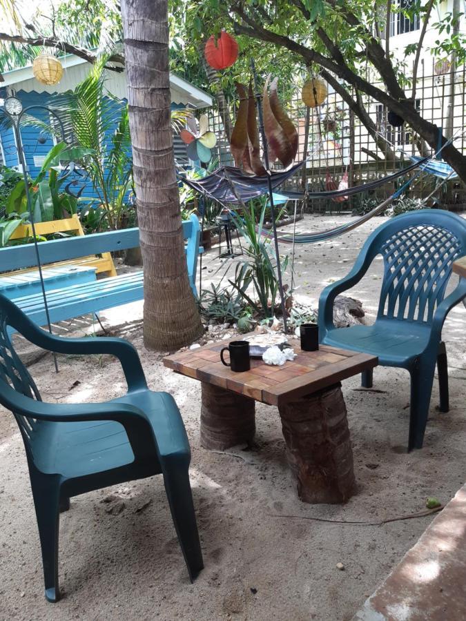 The Funky Dodo Backpackers Hostel 홉킨스 외부 사진