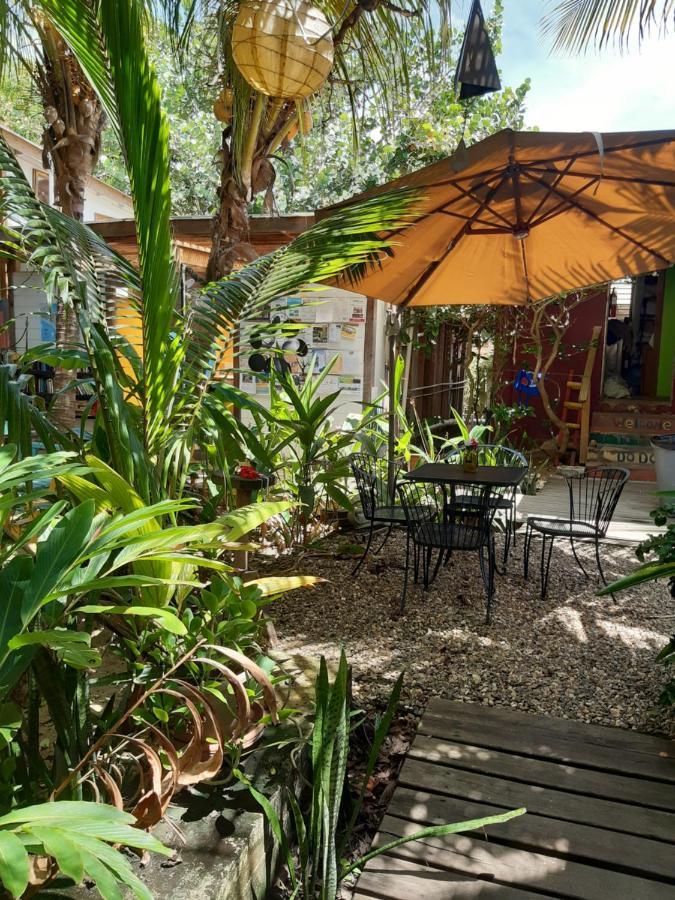 The Funky Dodo Backpackers Hostel 홉킨스 외부 사진